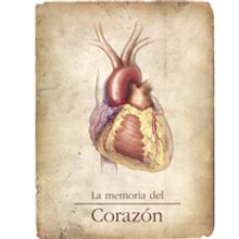 Ilustraciones Médicas. Un proyecto de Diseño, Ilustración tradicional, Informática y Publicidad de Martin Echeverria Correa - 12.10.2010