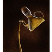Aceite de oliva. Un proyecto de Diseño, Ilustración tradicional, Fotografía y Publicidad de Martin Echeverria Correa - 12.10.2010