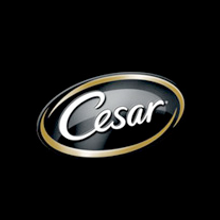 Cesar.  project by payo - 11.09.2010