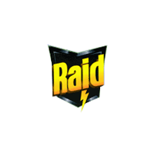 Raid.  project by payo - 11.09.2010