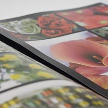 Triptico y fotografías empresa exportadora de flores. Design, Photograph, and Advertising project by Manuel Jurado - 11.17.2010