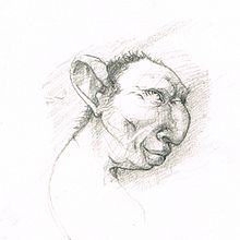 lapiz.  projeto de German Java - 17.11.2010