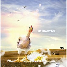Esa es la actitud. Ein Projekt aus dem Bereich  von Juan Manuel Pelillo - 20.11.2010