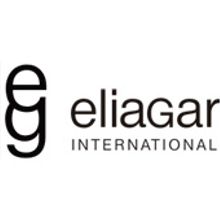 Eliagar International. Design, Programming, IT, and Advertising project by Escael Marrero Avila - 12.14.2010