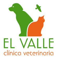 El Valle: Clínica Veterinaria. Design, Programming, and UX / UI project by El Chico Nube - 01.01.2011