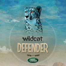 WILDCAT DEFENDER. Design, and Advertising project by Nacho Gallego - 01.11.2011
