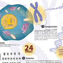 INFOGRAFÍAS. Design, and Traditional illustration project by Nacho Gallego - 01.12.2011