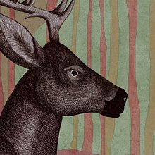Le cerf et les jaguars (ilustraciones). Un progetto di Illustrazione tradizionale di Luis Linares Izquierdo - 14.01.2011