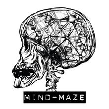 Mind Maze. Design, Traditional illustration, and Photograph project by Vicente Sánchez - 01.19.2011