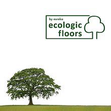 ECOLOGIC FLOORS by eureka. Design project by Helena Bedia Burgos - 01.25.2011