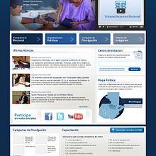 Tribunal Supremo Electoral - Website. Design, Programming, UX / UI & IT project by Mario Rene Esposito - 02.03.2011