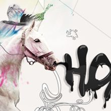 CABALLO DE PASO. Un projet de Design , Illustration traditionnelle, Informatique , et Photographie de Javier Alejandro Milla Muñante - 05.02.2011