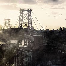 Birds. Design, and Photograph project by paquito garcia - 02.15.2011