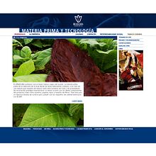 Sitio web, Brascuba. . Design, and UX / UI project by Oscar Armando Carballido Perdomo - 03.21.2011