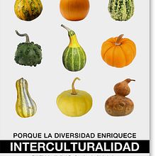 Campaña por la diversidad. Design, and Photograph project by Marta Sisón Barrero - 01.01.2009