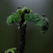 Naturaleza. Photograph project by María Mathison - 05.04.2011