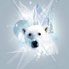 polar. Design, and Traditional illustration project by Daniel Rodriguez Morales - 05.16.2011