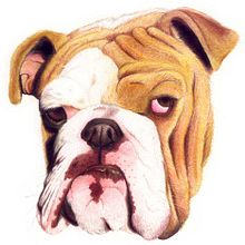 Perro. Traditional illustration project by Eduardo Bertone - 06.01.2011