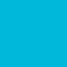 PANTONE 801 C. Design, Traditional illustration, and Photograph project by octavio_polo - 07.07.2011