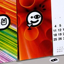 Calendario 2009. Design, Traditional illustration, Photograph, and Advertising project by DUPLOGRAFIC grafica editorial - 07.11.2011