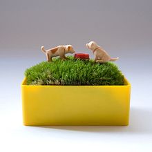 Moss Garden. Design project by Jeanette Ramirez - 08.10.2011