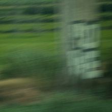 Tribute. Un proyecto de Fotografía de Sebastián Cueva - 02.09.2011