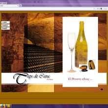 Website . Projekt z dziedziny Design i Programowanie użytkownika Acuarela Design - 04.09.2011