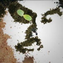 Medio ambiente. Design, Traditional illustration, and Music project by José Eduardo Collado - 09.12.2011