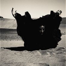 Sand...wind...bird. Photograph project by Ralitsa Zheleva - 09.13.2011
