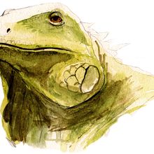 CIENTIFICA. Un proyecto de  de Ilustration & Design - 13.10.2011