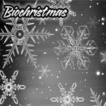 Biochristmas. Un proyecto de Diseño y UX / UI de Guillermo Ronda Arán - 25.10.2011