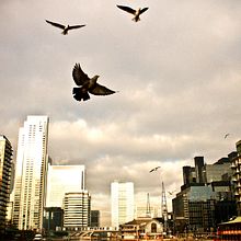 Canary wharf. Un progetto di Fotografia di Marc Alcover Riera - 05.11.2011