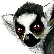 DRAWING. Un projet de Illustration traditionnelle de Margarita Rodríguez Municio - 07.11.2011