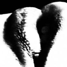 La Amante Perfecta . % La Cabeza tarafından hazırlanan Tasarım, Ve Film, Video ve TV projesi - 11.08.2011