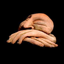 Arte y cultura . % La Cabeza tarafından hazırlanan Fotoğrafçılık projesi - 11.08.2011