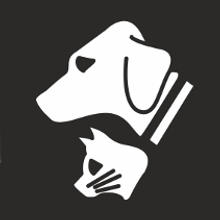 Web Clínica Veterinaria. Un proyecto de Diseño, UX / UI y Publicidad de AOH - 10.11.2011