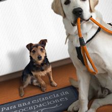 Dossier Dog Sitter. Un proyecto de Diseño, Fotografía y Publicidad de Artico Estudio - 16.11.2011