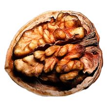 Our Brand . % La Cabeza tarafından hazırlanan Tasarım projesi - 11.16.2011