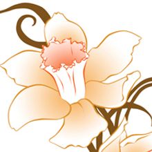 Ilustraciones para una boda. Un proyecto de Diseño e Ilustración tradicional de Laura Jiménez Alonso - 21.11.2011