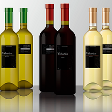 Propuesta etiquetado botella de vino Viñarda. Design, and Traditional illustration project by jose adolfo santana ponce de león - 11.22.2011