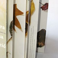 Natura, forma i creació. Design project by http://www.xavinagore.com - 01.03.2012