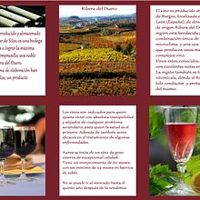 Prospeto Vino cara 1. Design, Ilustração tradicional, e Publicidade projeto de Luiza Apoenna Araujo Ximenes - 11.01.2012