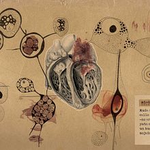 Nudos. Un projet de Design  et Illustration traditionnelle de design + art + poetry - 20.01.2012