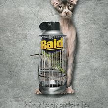 Raid biodegradable. Advertising project by pandorco - 02.03.2012