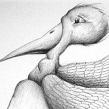 Ilustración con Bolígrafo. Un proyecto de Diseño, Ilustración tradicional y UX / UI de Isabel Roux - 08.10.2016