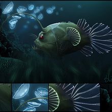 Ilustraciones 2011. Projekt z dziedziny Trad, c i jna ilustracja użytkownika Julia Maroto Romero - 28.02.2012