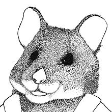 The Coolhamster Mag. Traditional illustration project by rocio_20 - 03.14.2012