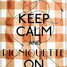 PICNIQUETTE. Design, Traditional illustration, Photograph, and Advertising project by Iaia Cocoi - 03.21.2012