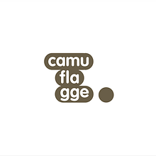 MARCA CAMUFLAGGE. Design project by Olalla Rubio Martínez - 03.22.2012