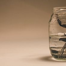 Bodegon. Design, and Photograph project by Verónica Berlana - 03.27.2012